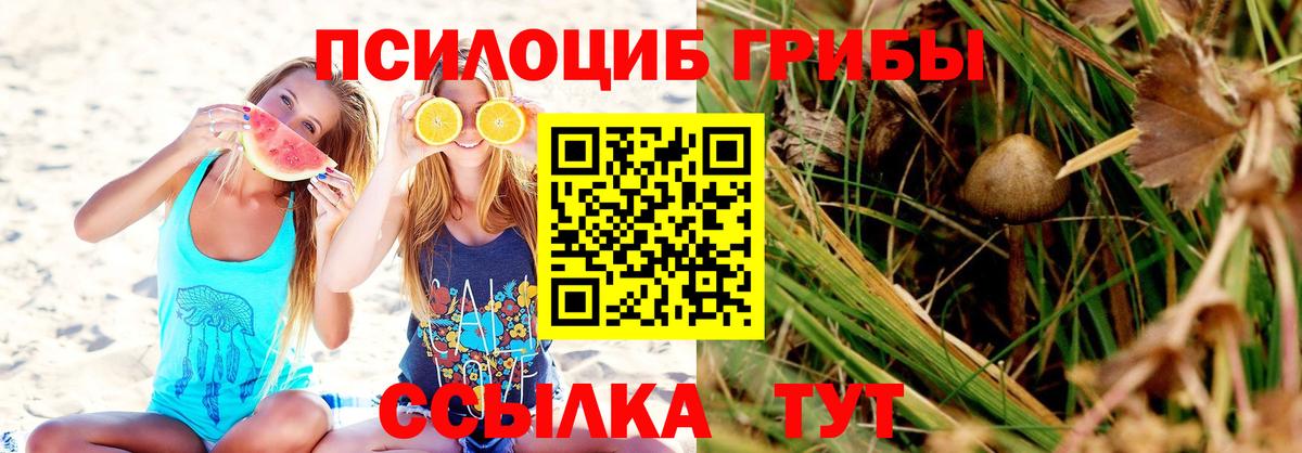 Людиново  купить закладку  Вход с VPN  Псилоцибиновые грибы Magic Shrooms 
